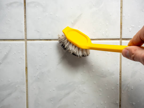 Home Mold Removal in Bawcomville, LA