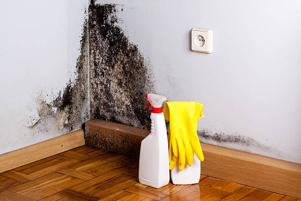 Water Damage Restoration in Bawcomville, LA